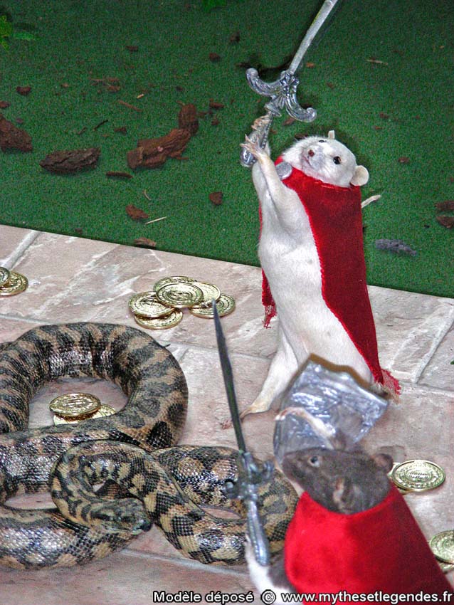 Exhibition The legend of King Arthur (114) Knight rats fighting a snake